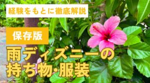 【保存版】雨ディズニーの持ち物や服装を経験をもとに徹底解説！