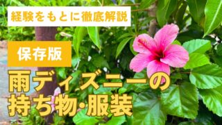 【保存版】雨ディズニーの持ち物や服装を経験をもとに徹底解説！