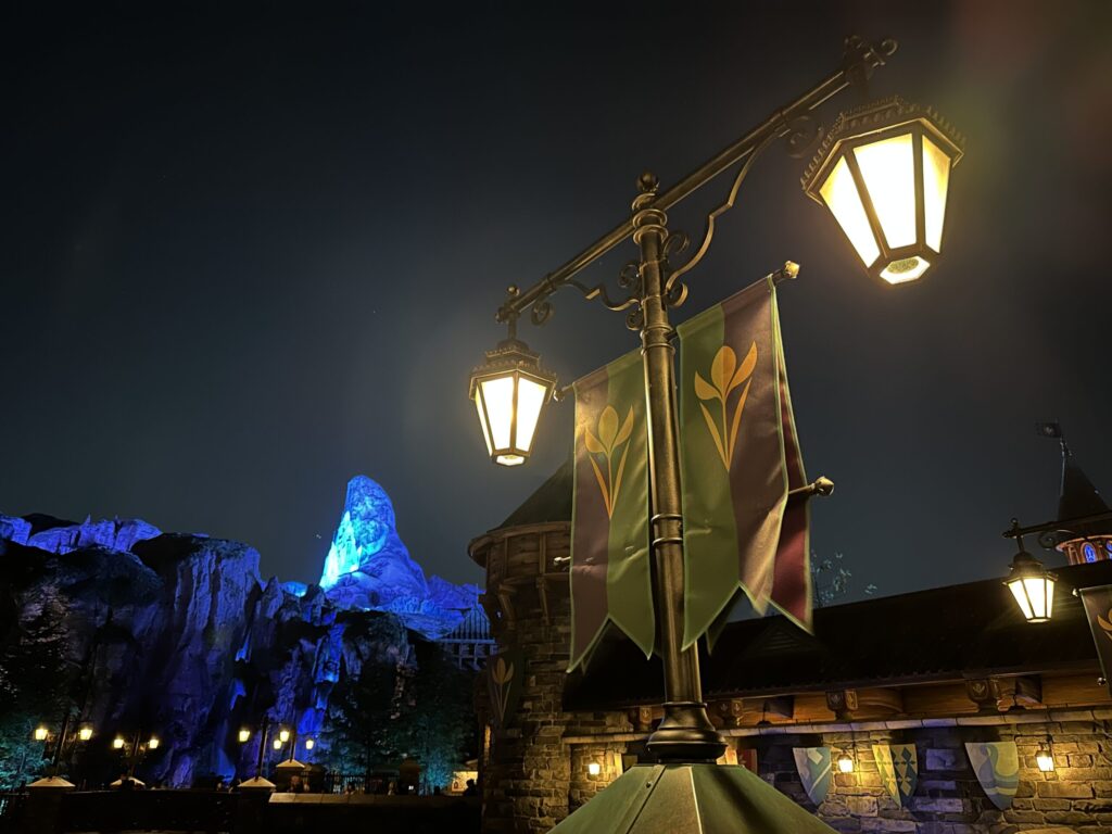 ディズニーチケットの種類確認ポイント(ディズニーシーファンタジースプリングスにて)