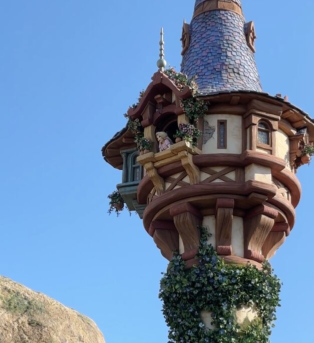 落ちる？怖い？絶叫系が苦手な人も安心（ラプンツェルのランタンフェスティバル）